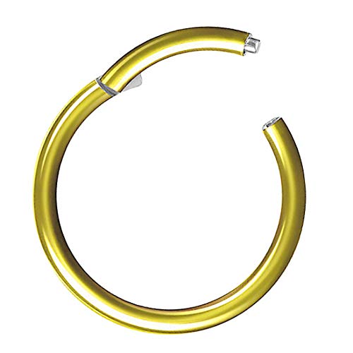 Piercing Ring Segmentring Clicker Scharnier Titan Septum Tragus Helix Ohr Nase Lippe Nasenring Nasenpiercing Lippenpiercing Dünn Gold 0,8mm x 8mm von Taffstyle