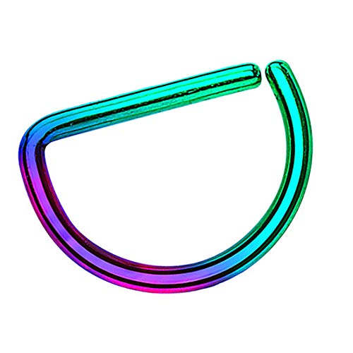 Taffstyle Piercing Continuous D-Ring Fake Klemmring Dünn Septum Tragus Helix Nase Lippe Ohr Nasenring Ohrpiercing Hoop Clip On Rainbow 1,2mm x 10mm von Taffstyle