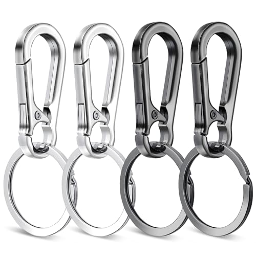 Teaaha 4 STK Carabiner Schlüsselanhänger Kleine Karabiner Clip Mini Schlüssel Karabiner Kette Karabinerhaken Für Charme, Auto-Schlüsselring, Männer Und Frauen Schlüsselanhänger (Schwarz, Silber) von Teaaha