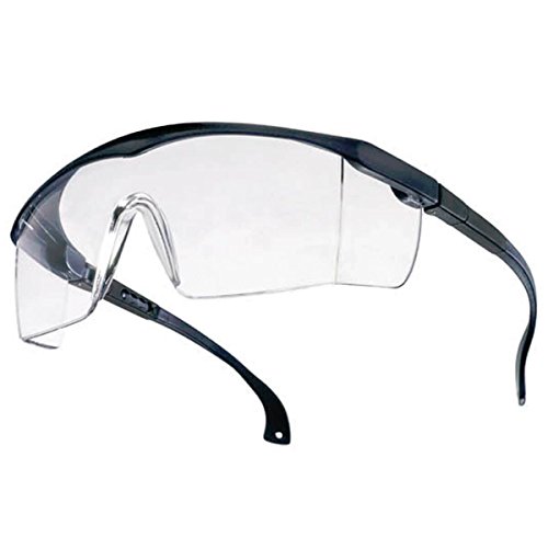Tector Basic Schutzbrille | blau/klar | EN 166 Zertifiziert | klare Scheibe | längen- und höhenverstellbare Bügel Kratzfest leicht Gute Qualität von Tector