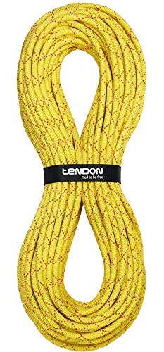 Tendon Salamander 10.2 Canyoningseil, Gelb, 100 m von Tendon