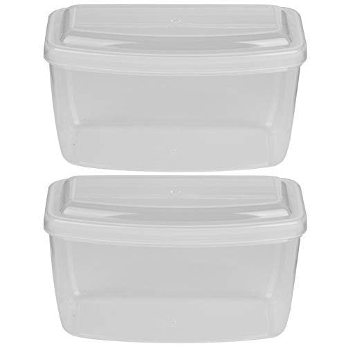 Teror Schwimmbrillen Box, 2 Stück PP Kunststoff Aufbewahrungsbox Schwimmbrillen Box Staubdichte Schutzbrillen Etui für Tauchen Schnorchelausrüstung(Transparent) von Teror