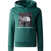The North Face Off Mountain Logowear Hoodie Kinder von The North Face