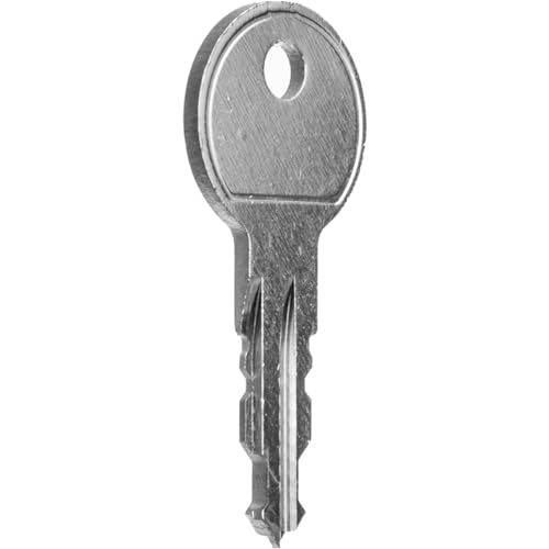 Thule Sport Stahlschlüssel N201 Schlüssel, Mehrfarbig (Mehrfarbig), Ùnica von Thule