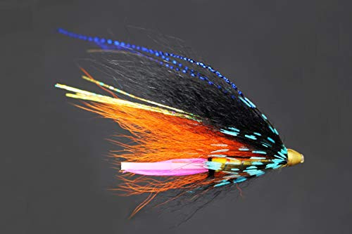 Tigofly 24 Stück/Los, schöne blaue und schwarze Federkegel, Kopfrohr, Fliegen, Lachs, Forelle, Stahlkopf, Fliegenfischen, Fliegenköder von Tigofly