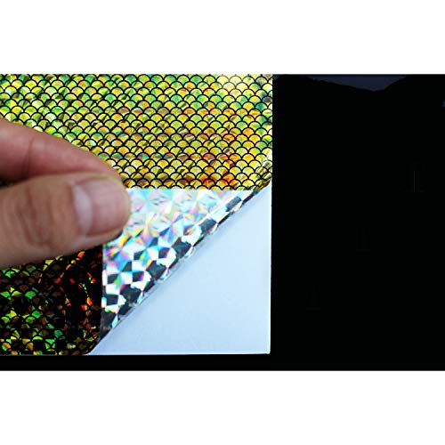 Tigofly 6 Stück 6 Farben 10 x 21 cm Holografischer Film Flash Laser künstliche Fischhaut DIY Jig Aufkleber Köder Aufkleber Fliegenbinden Materialien (Golden) von Tigofly
