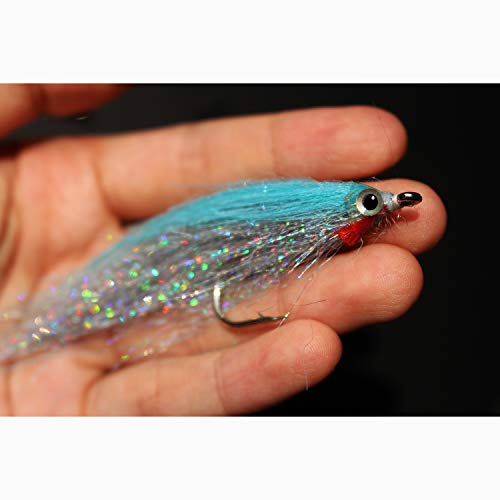 Tigofly 10 Stück 10 Farben 1/0 4 cm High Carbon Haken Holo Silber Lachs Forellen Meer Barsch Stahlkopf Elritze Fliegenfischen Fliegenköder Set von Tigofly