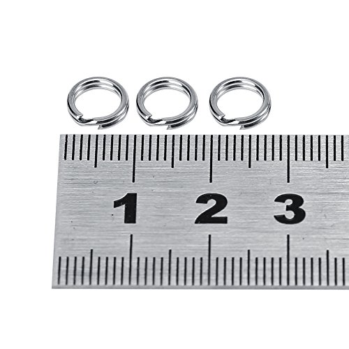 Tixiyu 50 Stück/100 Stück 7 Größen Edelstahl Angelgerät Köder Doppelkreis-Split-Ring-Stecker (8# Verkauft in 1 Packung mit 50 Stück) von Tixiyu