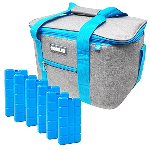 ToCi Kühltasche Isoliertasche Thermotasche Picknicktasche für Picknick Camping Urlaub Wandern Grillen | 14 Liter mit 6 x 200 ml Kühlakku von ToCi
