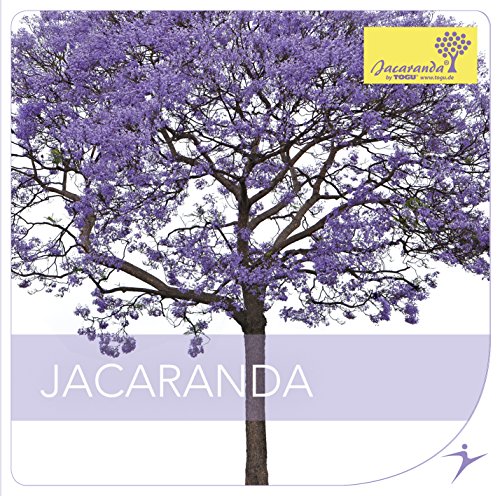 Togu Jacaranda CD von Togu