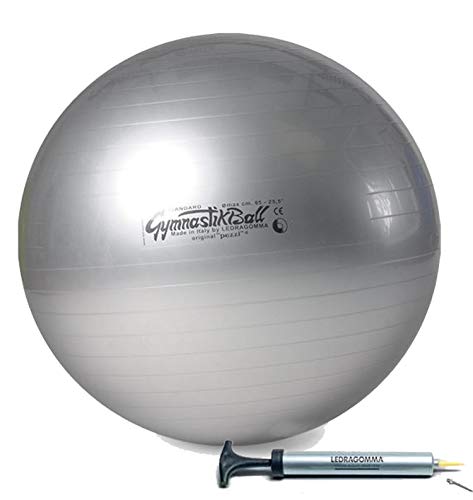 Tonkey PEZZI Ball Standard 65 cm Silber Gymnastikball Sitzball inkl. Pezziball Pumpe von Tonkey
