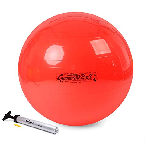 Tonkey Pezzi Ball Standard Gymnastikball Sitzball inkl Pezziball Pumpe (75 cm, rot mit Pumpe) von Tonkey