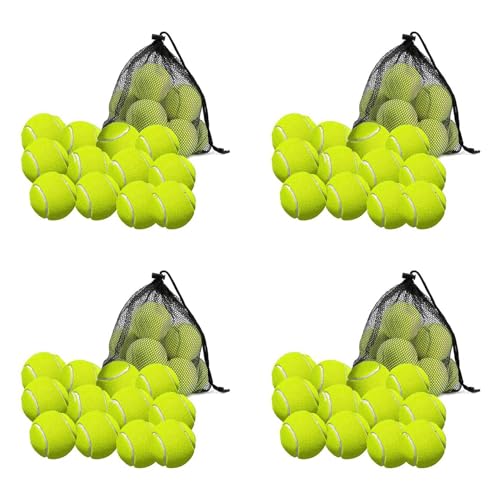 Toranysadecegumy Tennisbälle mit Aufbewahrungstasche, hochwertig, dickwandig, perfekt für Tennis und Cricket, 48 Stück von Toranysadecegumy
