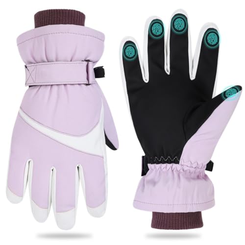 Toyosport Winter Ski Snowboard Handschuhe: Schneehandschuhe Thermo Wasserdichte Handschuhe Winddichte Winterhandschuhe für Damen Herren Skifahren Wandern Radfahren von Toyosport