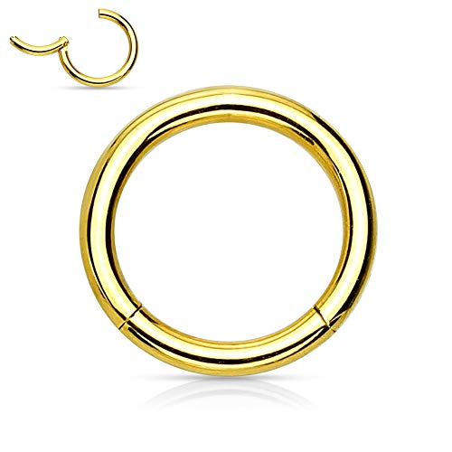 Treuheld® | Segmentring-Clicker aus Chirurgenstahl | Gold | Größe: 3.0mm x 20mm von Treuheld