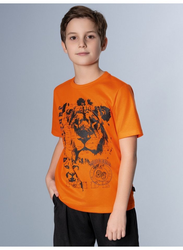 Trigema T-Shirt TRIGEMA T-Shirt mit großem Löwen-Print (1-tlg) von Trigema