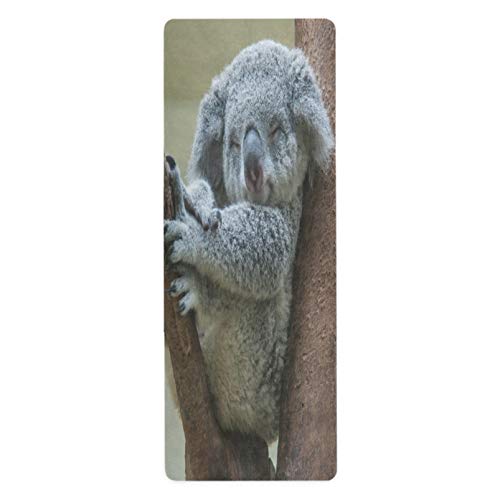 Reeless niedliche Koala-Reise-Yogamatte, rutschfest, leicht, faltbar, für Yoga, Pilates, Gymnastik, Bodenübungen von TropicalLife