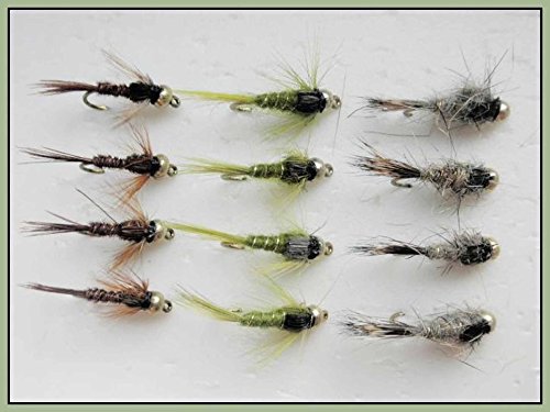 Gold Head Nymphe Forellenfliegen, Hasenohr, Fasanenschwanz und Oliven, 10/12, 12 Stück von Troutflies Goldhead Nymphs