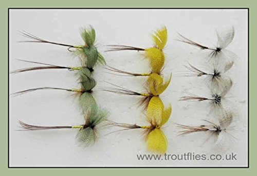 Drake Mayflies, 12 Stück, farbige Köder zum Fliegenfischen, Grün, Grau, Gelb, Größe 10, Haken zum Forellenangeln von Troutflies UK Dry Flies