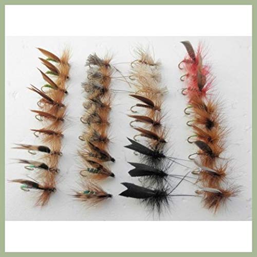 Sedge Forellenfliegen, 36 Stoßstangen-Set, 12 Verschiedene Muster, Größe 12, Trockenforellenfliegen, Angelfliegen von Troutflies UK Dry Flies