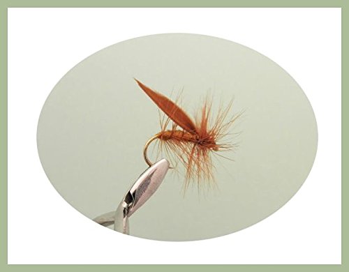 Sedge Trout Fliegen, 6 Pack braun Sedge, Größe 10, für Fliegenfischen, Top Sellers von Troutflies UK Dry Flies