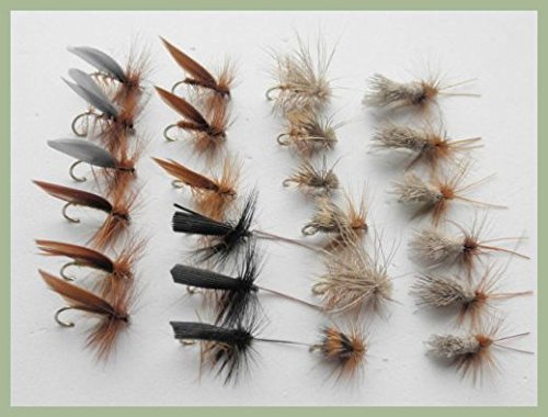 Sedge Trockenfliegen für Forellen, 24 Stück, Elch, Hirsch, Braun, G & H & mehr, gemischte Größe von Troutflies UK Dry Variety Packs