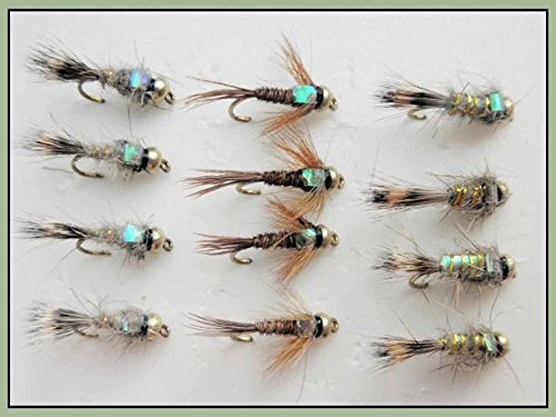 12 GOLDHEAD Forellenangeln Fliegen, Flash Hasen Ohr & Fasan Schwanz gemischt 10/12 von Troutflies UK Goldhead Nymphs