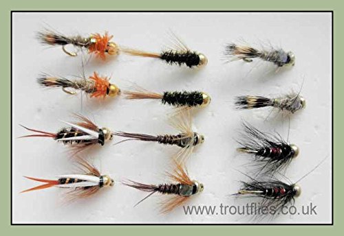 12 GOLDHEAD Forellenangeln Fliegen – MIXED Pack, 6 Sorten, gemischt Größe 10/12 von Troutflies UK Goldhead Nymphs