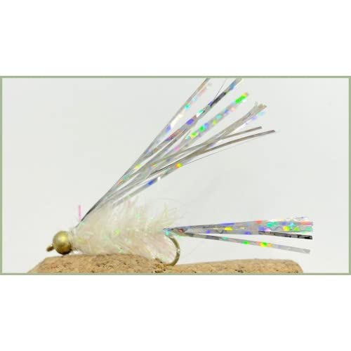 Forellenfliegen, Köder, 8 Stück, Goldkopf, Weiß-Silber-Flügel-Fritz, Größe 10 von Troutflies UK Ltd
