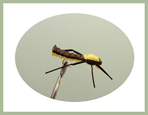 Grasshopper Angeln Fliegen, 6 Pack Schaumstoff, Auswahl von Größen für Fliegenfischen von Troutflies UK Ltd
