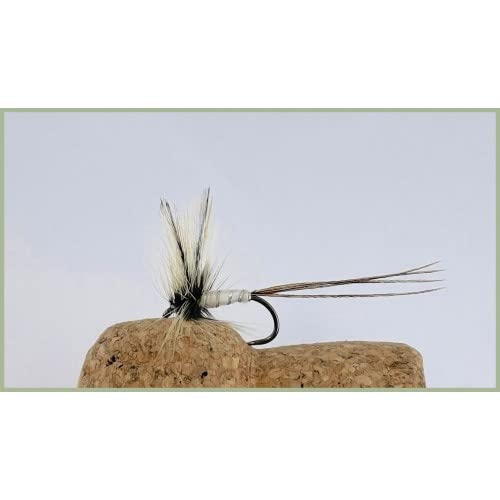 Mayfly Forellenfliegen, ohne Widerhaken, 6 Stück, Größe 10, Mayflies, Angelfliegen von Troutflies UK Ltd