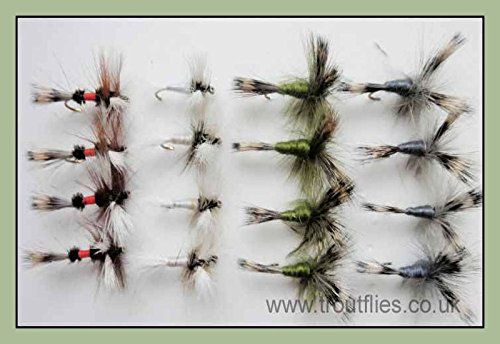 Troutflies UK Ltd Wulff Forellenangeln Fliegen, 16 Stück, grau, oliv, weiß & Royal, Größe 10, von Troutflies UK Ltd