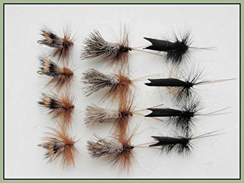 Sedge Forellenangeln Fliegen, 12 Stück Goddards, Deer Hair & Schwarz gehörnten. Größe 10 von Troutflies UK Dry Flies