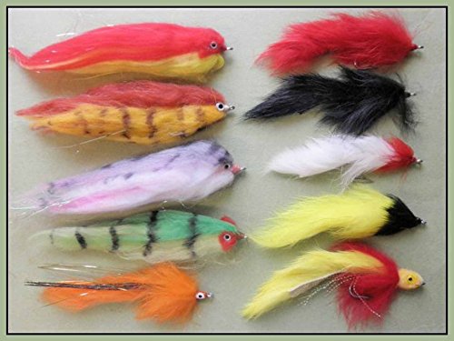 Hecht Angeln Fliegen, 10 Stück, Mixed Patterns, Größe 1/0 & 2/0, Pike Fly Angeln von Troutflies UK Lures