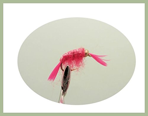 12 Stück GOLDHEAD Nymphe – Pink Scud –-Angeln Fliegen. Verschiedene Größen 10–12 von Troutflies UK Nymph Flies