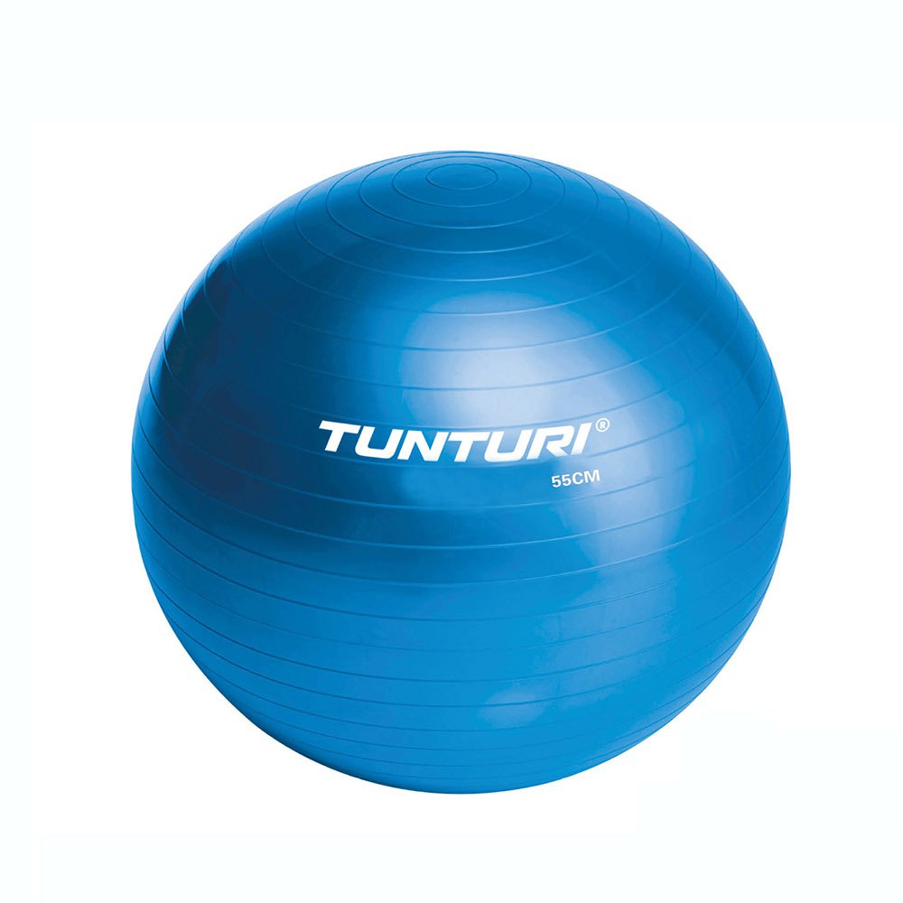 Tunturi Gym Ball Fitball Blau 65 cm von Tunturi