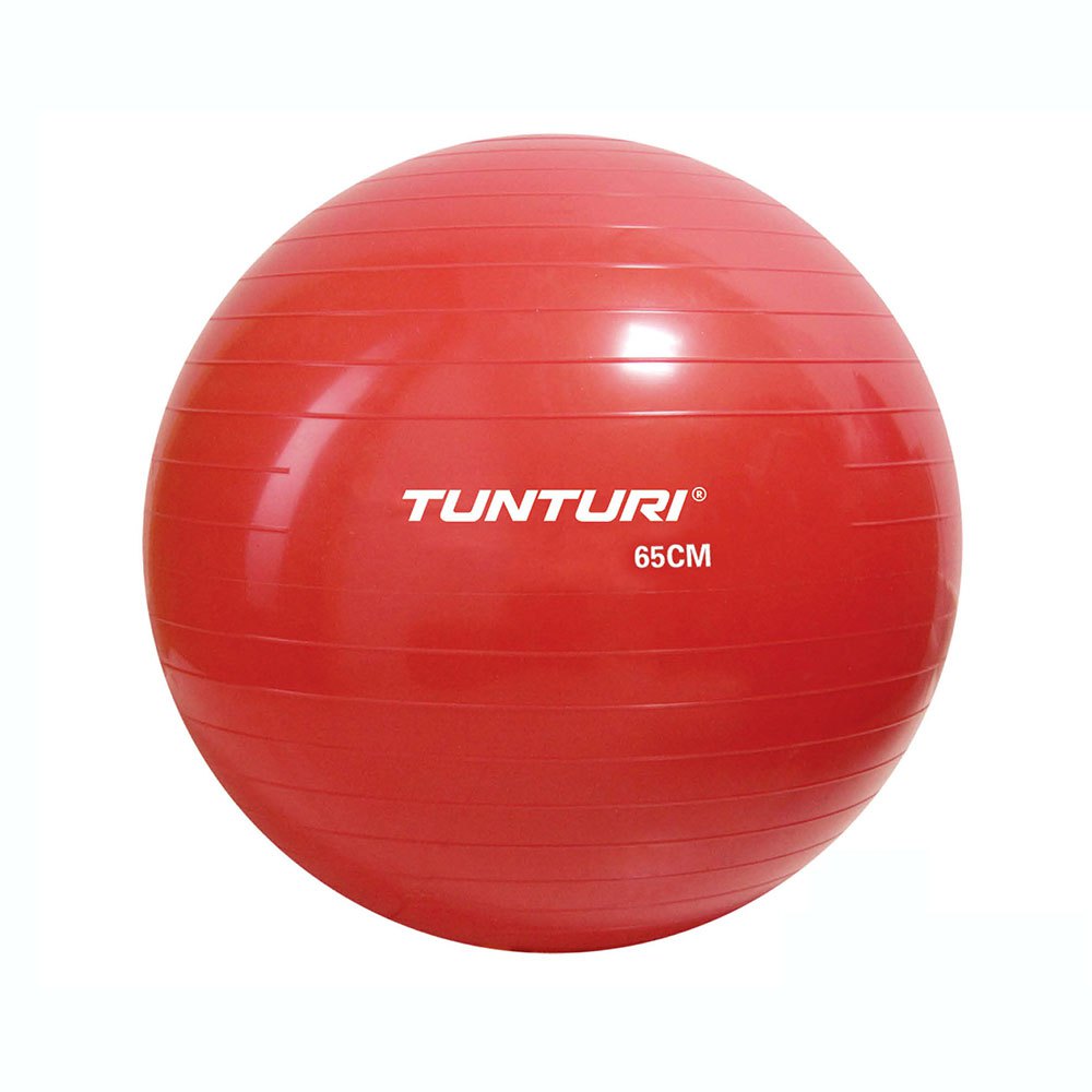 Tunturi Gym Ball Fitball Rot 75 cm von Tunturi