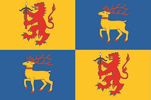 U24 Fahne Flagge Kalmar län Bootsflagge Premiumqualität 30 x 45 cm von U24