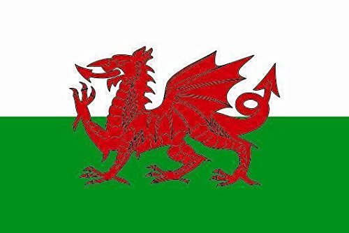 U24 Fahne Flagge Wales Bootsflagge Premiumqualität 100 x 150 cm von U24