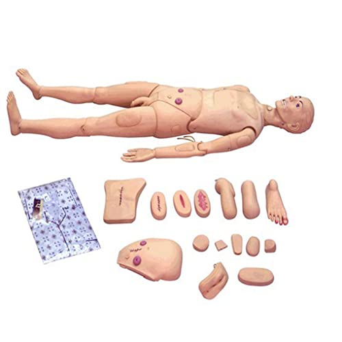 UIGJIOG Pflegepuppe 175 cm Grundlegende Pflege Geriatrisches Menschliches Modellpflege-Trainingspuppe Puppe Ganzkörpererziehung Lehrende Medizinische Ausbildungsfähigkeiten von UIGJIOG