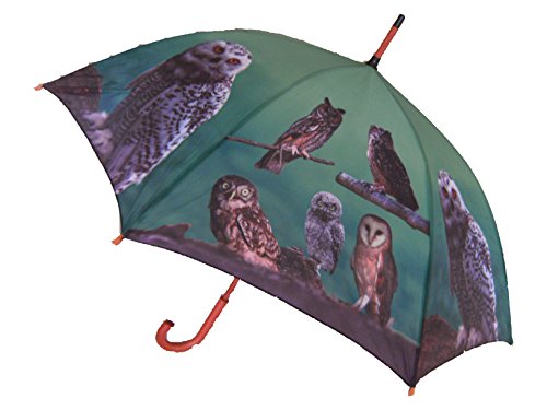 Regenschirm Eule mit Holzgriff, Automatikschirm, Stockschirm, Schirm, Tier, Eulen, Vogel von Unbekannt