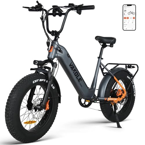 VAKOLE E Bike Herren 20 Zoll Elektrofahrräder-Ebike Mit Smart APP, 48V 15,6Ah Akku - Reichweite bis zu 110km, Hydraulische Bremsen von VAKOLE