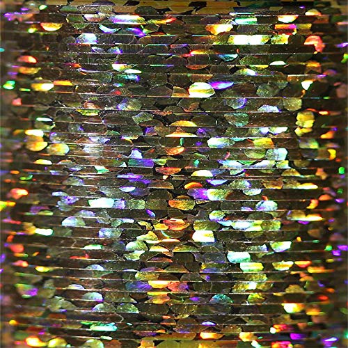 VEEVUS Unisex-Adult H05-S Holographic Tinsel-SMALL, Holo Gold, S von VEEVUS