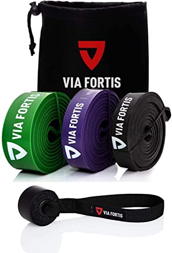 VIA FORTIS Premium Resistance Bands + Übungsanleitung und Tasche - Widerstandsbänder/Klimmzugband und Klimmzughilfe/Fitnessband/Trainings-Bänder für Fitness & Krafttraining von VIA FORTIS
