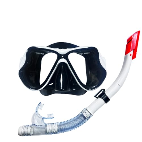Schwimmbrille Erwachsene, Panorama-Weitblick Tauchmaske, Schnorchelmaske für Tauchen Wassersport und Schnorcheln für Kinder Erwachsene -Adult Version-White||1 Size von VIXANI