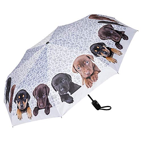 VON LILIENFELD Regenschirm Taschenschirm Welpenquartett Windfest Auf-Zu-Automatik Kinderschirm Stabil Leicht Kompakt von VON LILIENFELD