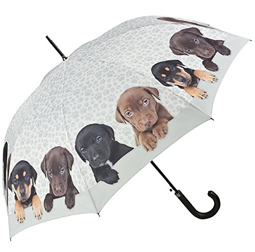 VON LILIENFELD Regenschirm Welpenquartett Auf-Automatik Damen Hunde Kinderschirm Stockschirm von VON LILIENFELD