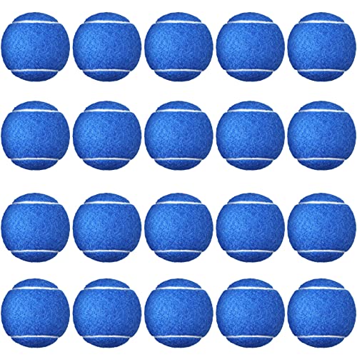 24 Stück Standard-Druck-Tennisbälle, Spielbälle, Tennisbälle, Trainingsbälle, für Anfänger, Spieler, Trainingsball, 6,3 cm (Blau) von Vinsot