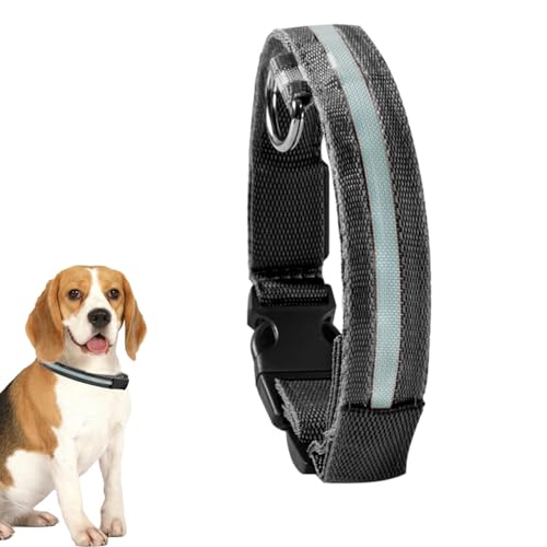 Virtcooy Leuchtendes Hundehalsband | Blinkendes Leuchthalsband für Hunde | Verstellbare, im Dunkeln leuchtende Halsbänder für Welpen, mittelgroße und kleine Hunde von Virtcooy