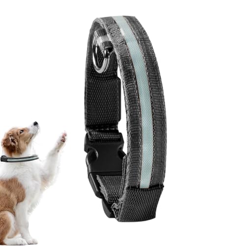 Virtcooy Leuchtendes Hundehalsband | LED leuchtendes Hundehalsband | Wiederaufladbares blinkendes LED-Hundehalsbandlicht, beleuchtetes Hundehalsband für Welpen, kleine, mittelgroße Hunde und Haustiere von Virtcooy